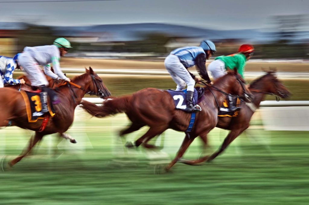 Professional Horse Racing, About Us