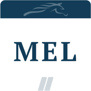 Professional Horse Racing Tipping Service - Elite Racing